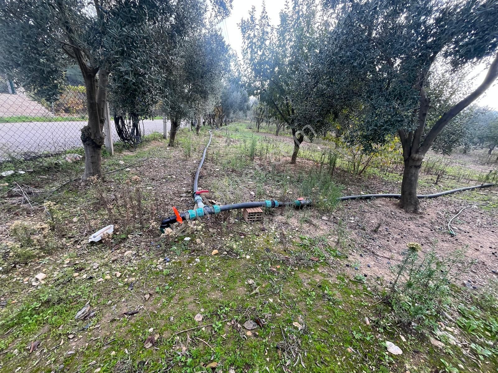 Menderes Turyap'tan Değirmendere'de Anayola Cepheli Hisse Tapulu - Görsel 9