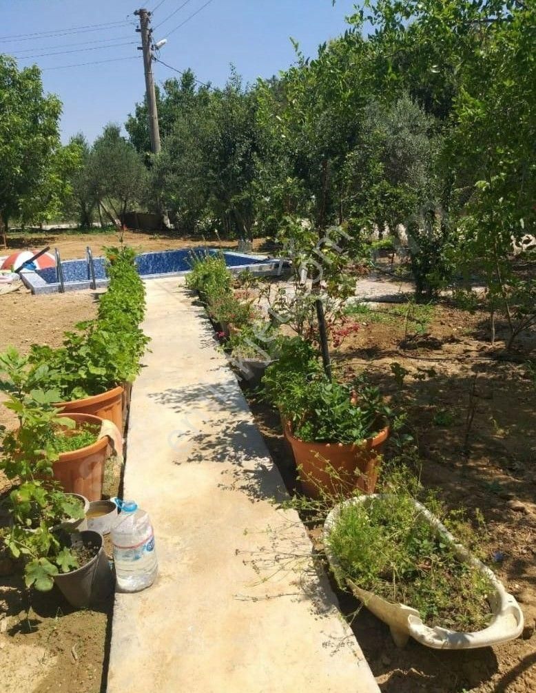 Menderes Turyap'tan Değirmendere'de Anayola Cepheli Hisse Tapulu - Görsel 20