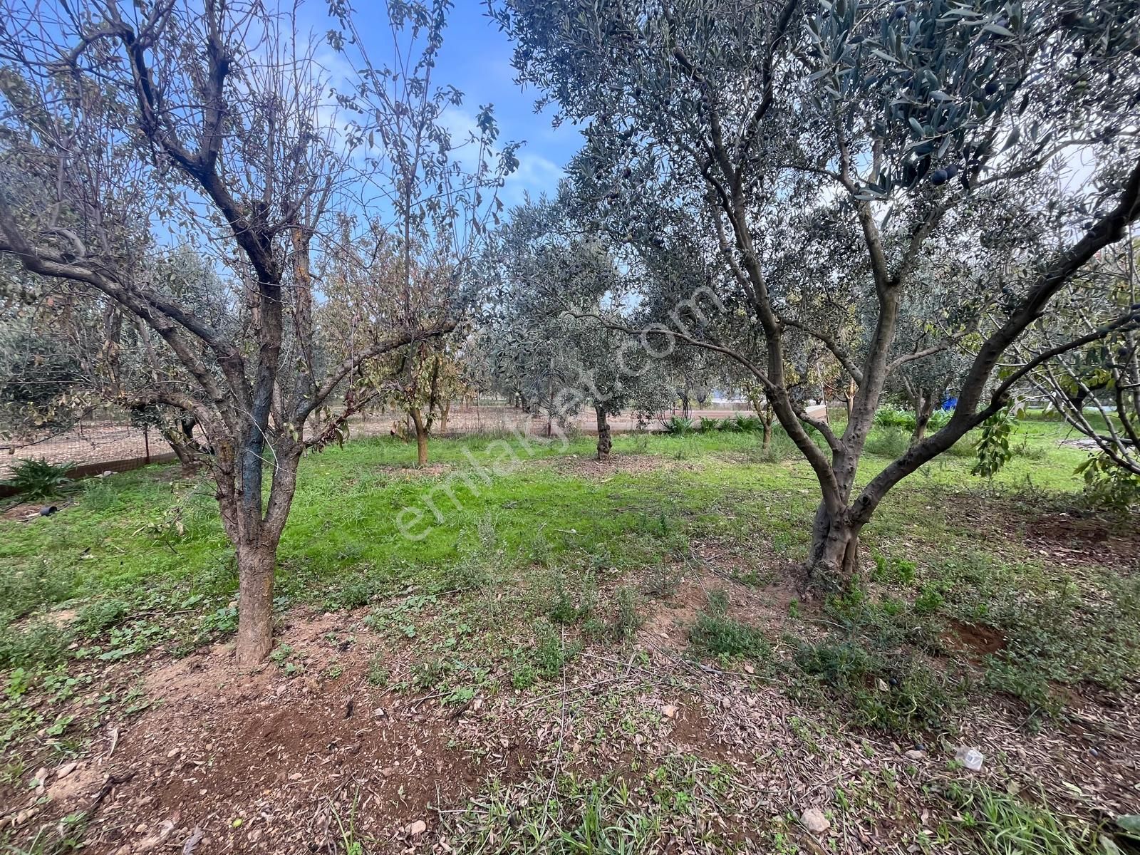 Menderes Turyap'tan Değirmendere'de Anayola Cepheli Hisse Tapulu - Görsel 28