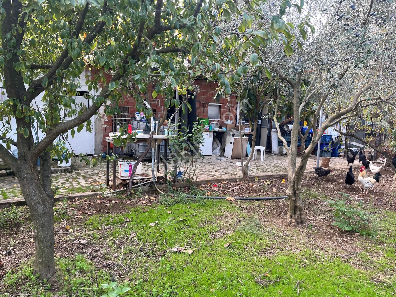 Menderes Turyap'tan Değirmendere'de Anayola Cepheli Hisse Tapulu - Görsel 2