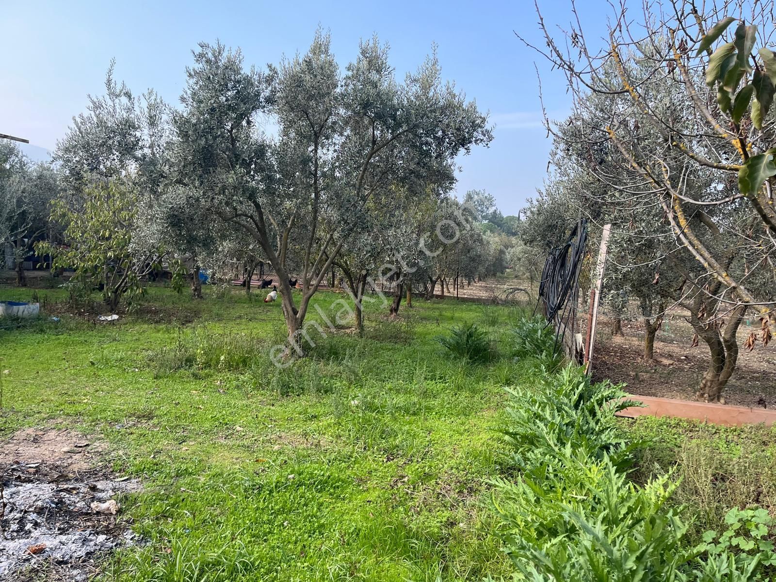 Menderes Turyap'tan Değirmendere'de Anayola Cepheli Hisse Tapulu - Görsel 24