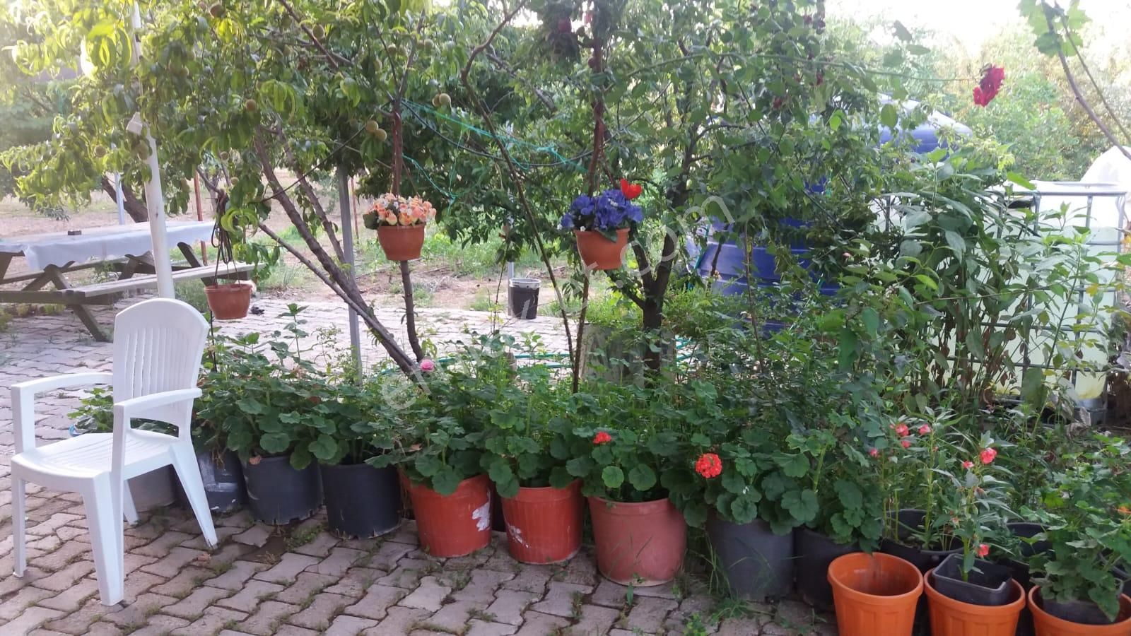 Menderes Turyap'tan Değirmendere'de Anayola Cepheli Hisse Tapulu - Görsel 13