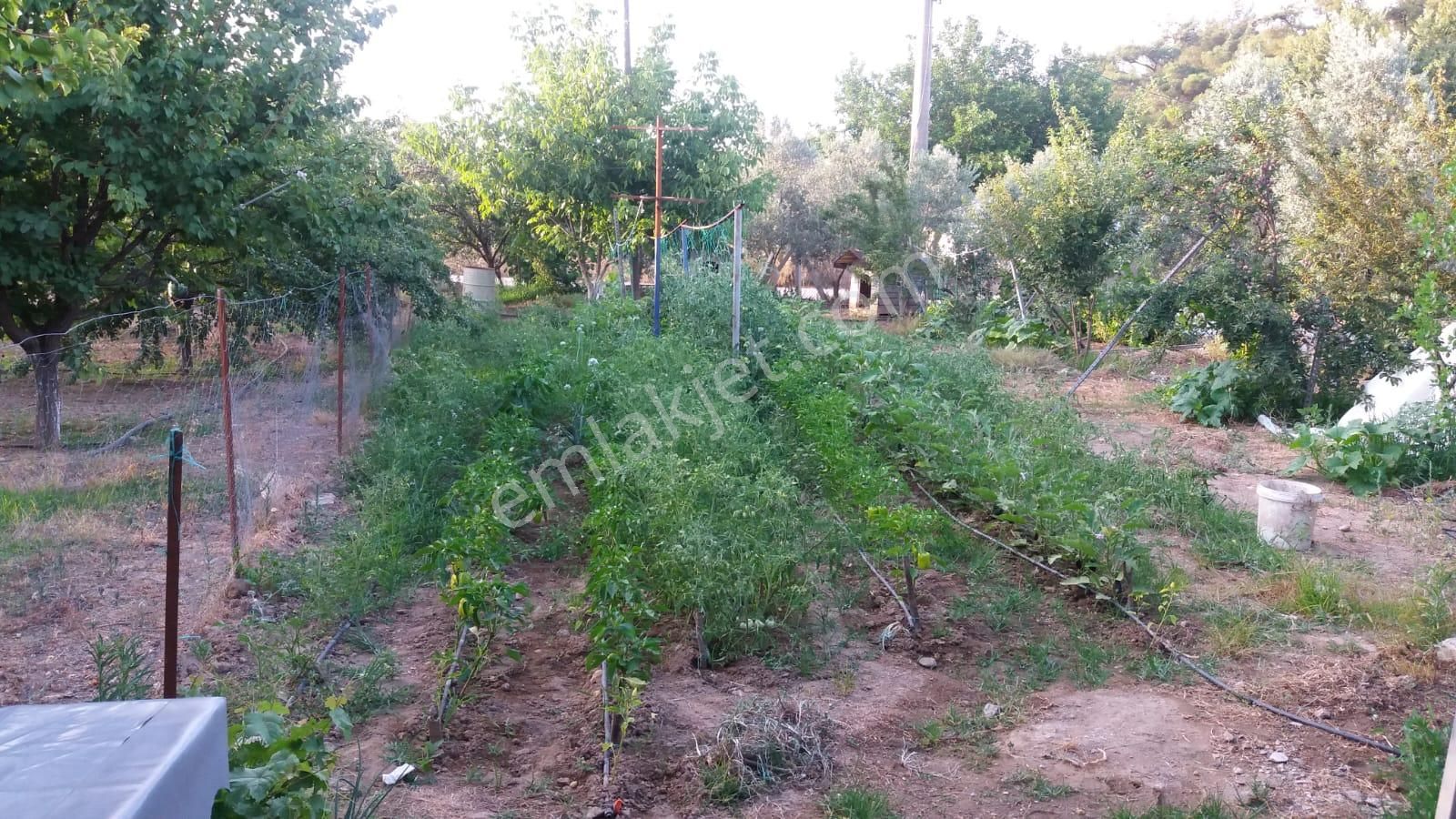 Menderes Turyap'tan Değirmendere'de Anayola Cepheli Hisse Tapulu - Görsel 15