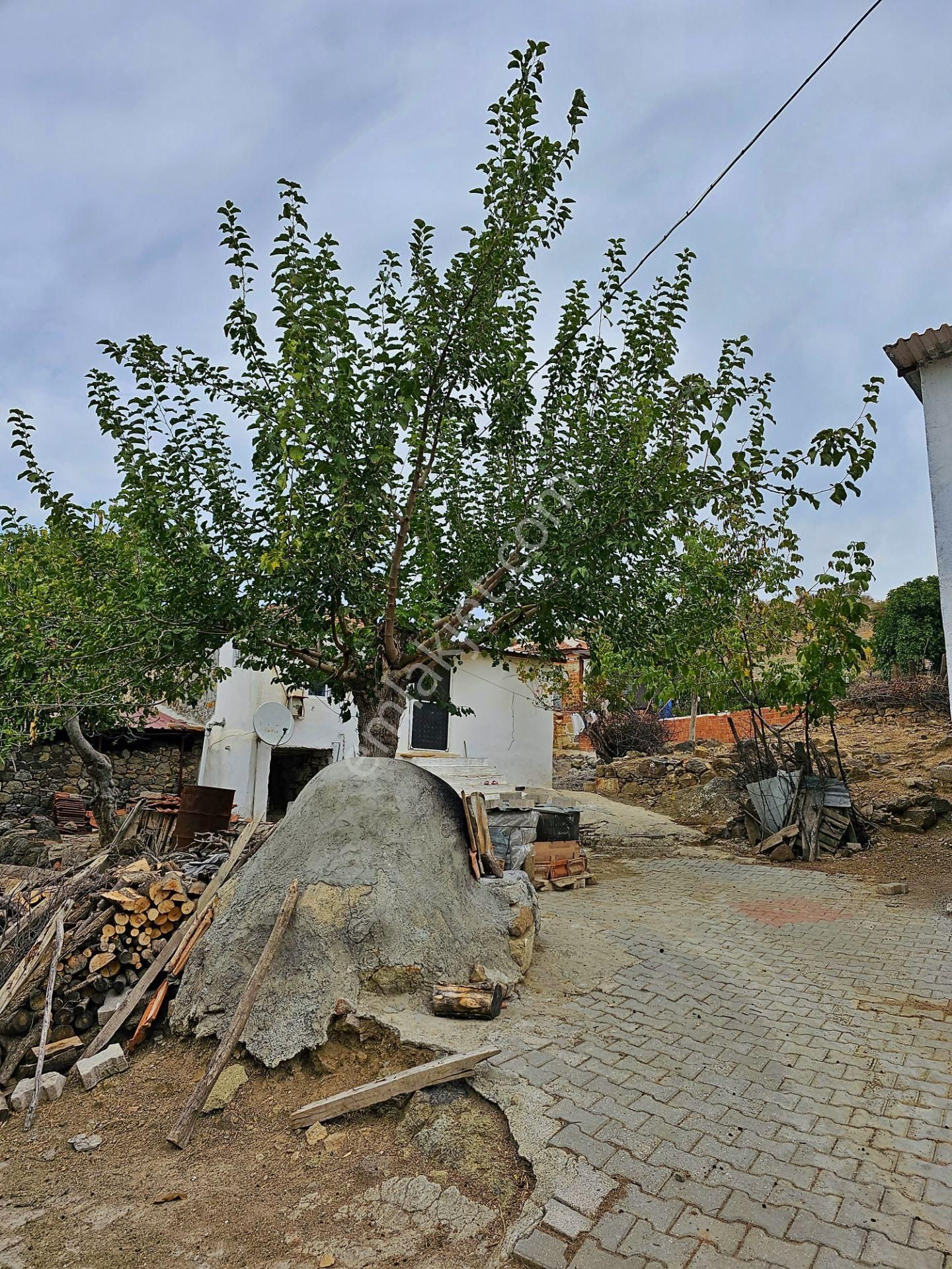 Acil! Dikili De Köy Evi İmarlı Yatırıma Uygun Satılık Arsa - Görsel 6