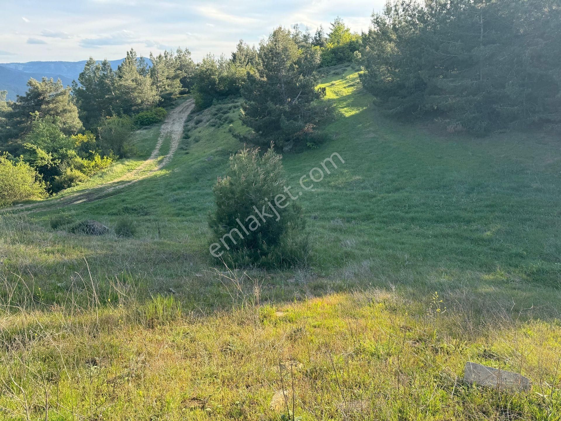 Sakarya-geyve-karacaörende Sahibinden 1122 M² Kupon Arazi - Görsel 3