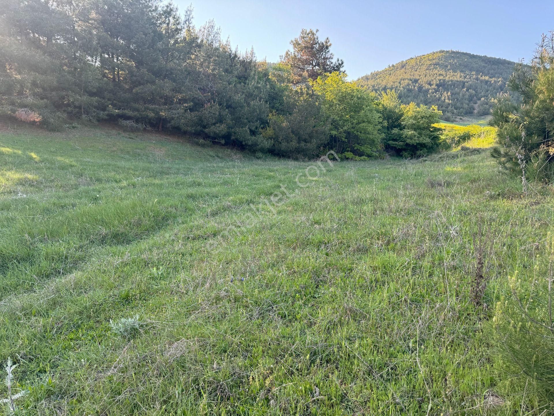 Sakarya-geyve-karacaörende Sahibinden 1122 M² Kupon Arazi - Görsel 5