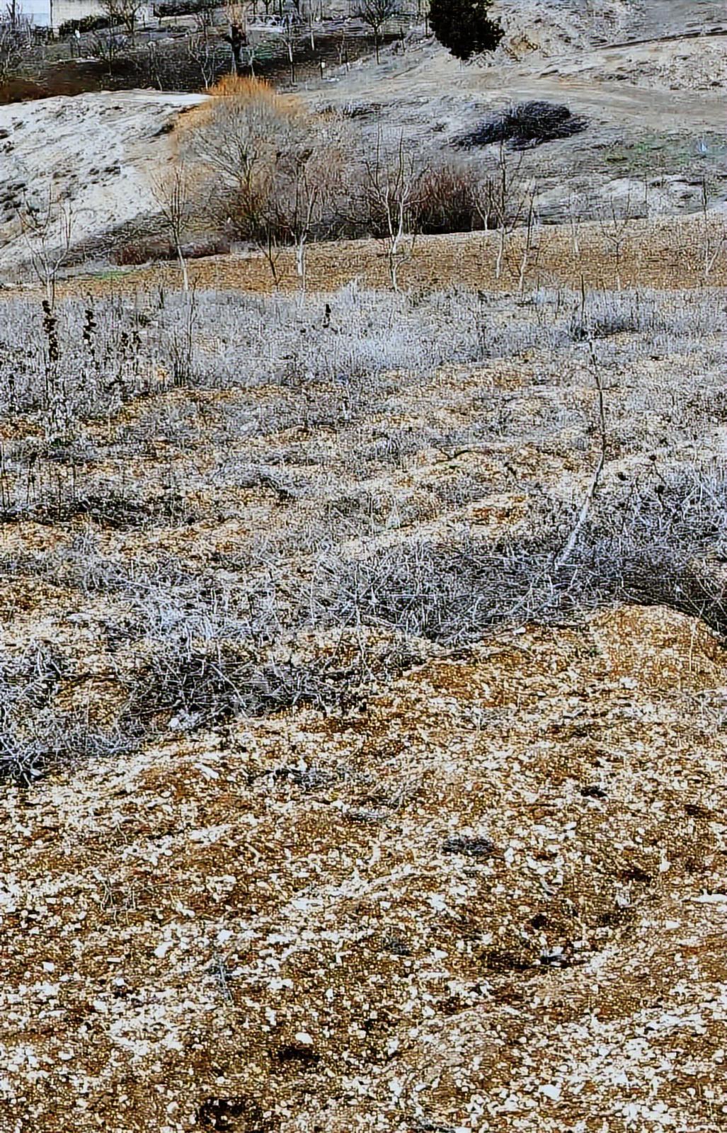 Yenipazarda İmara Yakın 36 Cevizli Arazi 1380 M2 - Görsel 5