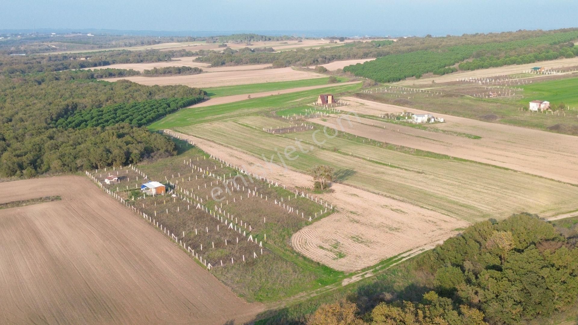 Balanda Villaların Yanı Başında Arsa Vasfında - Görsel 16
