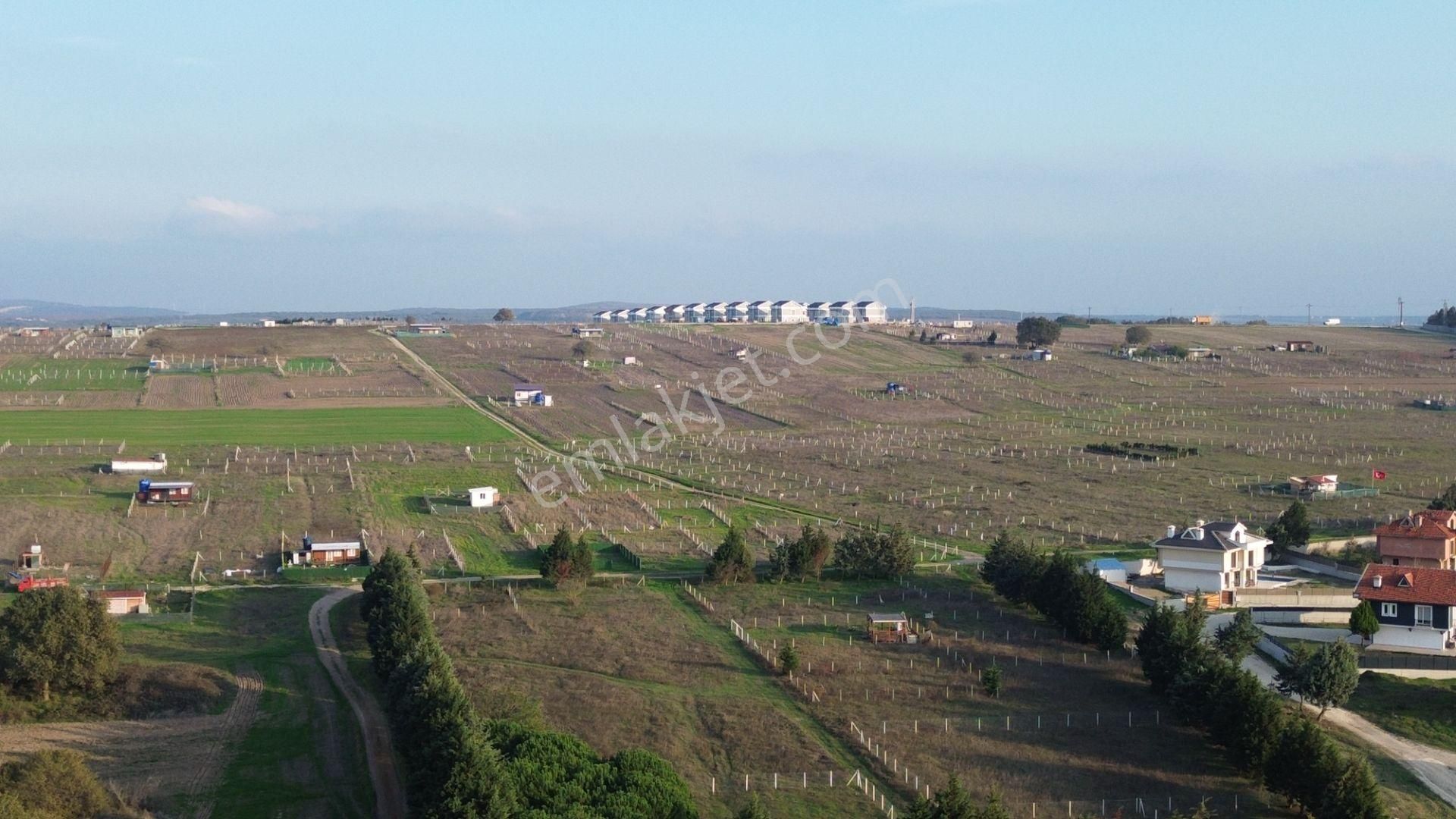 Balanda Villaların Yanı Başında Arsa Vasfında - Görsel 18