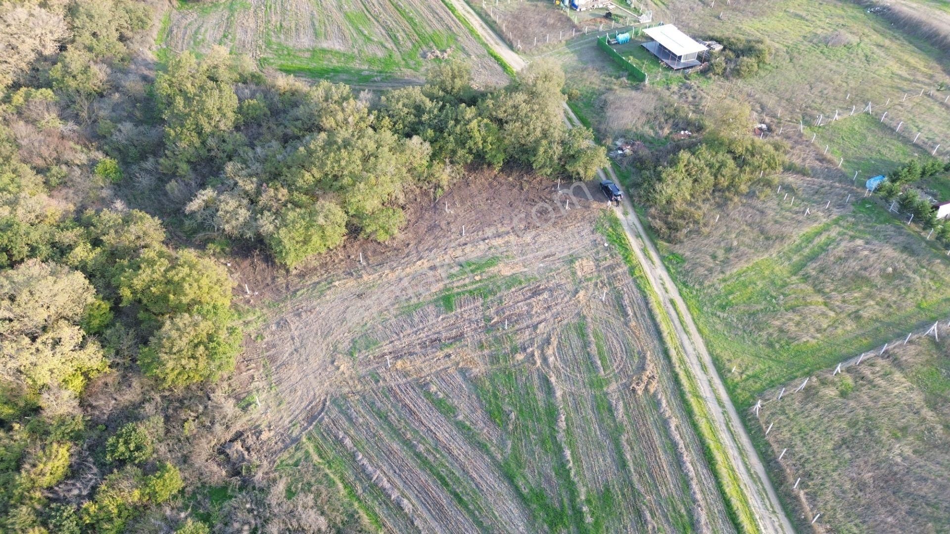 Balanda Villaların Yanı Başında Arsa Vasfında - Görsel 9