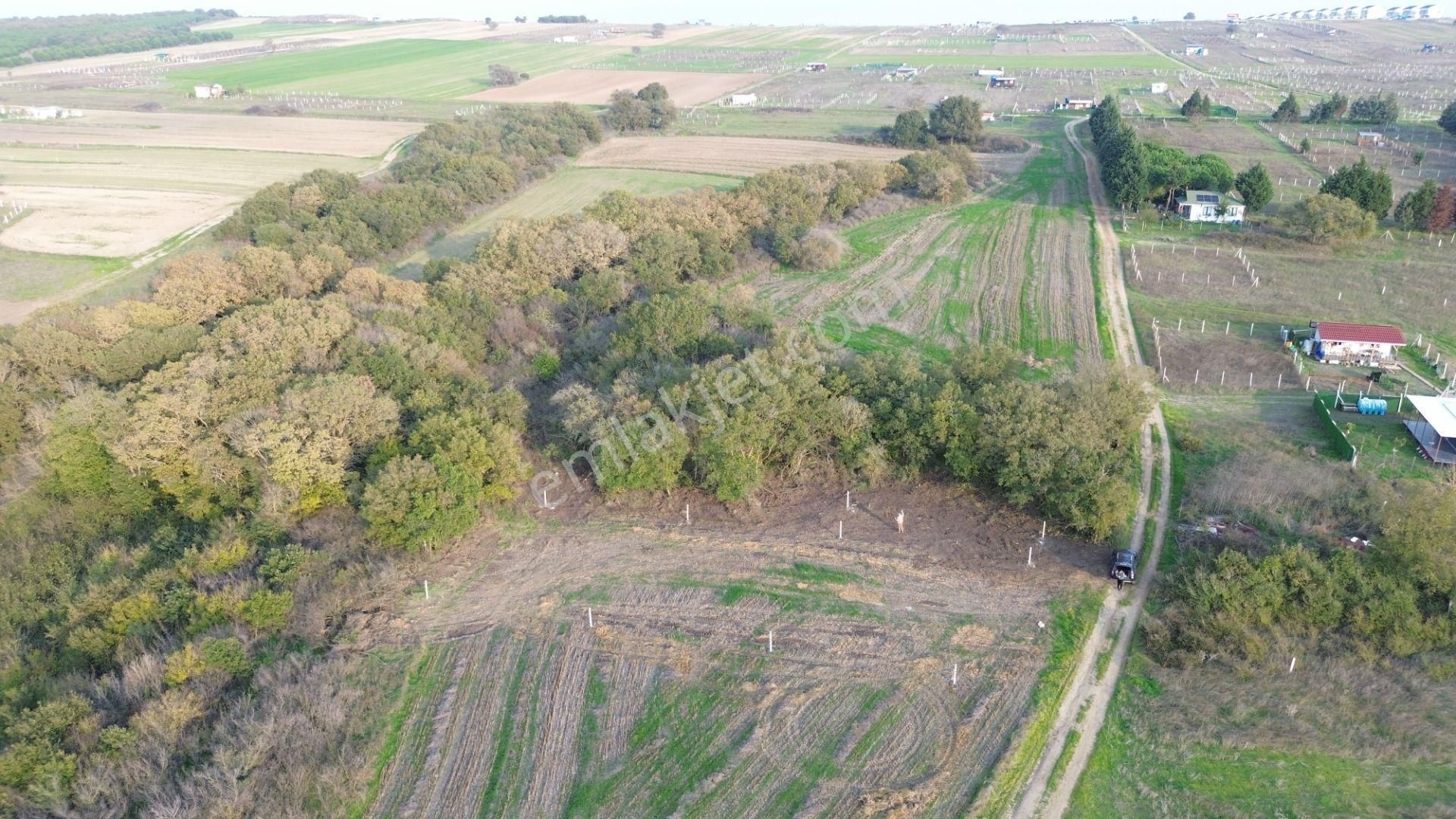 Balanda Villaların Yanı Başında Arsa Vasfında - Görsel 4