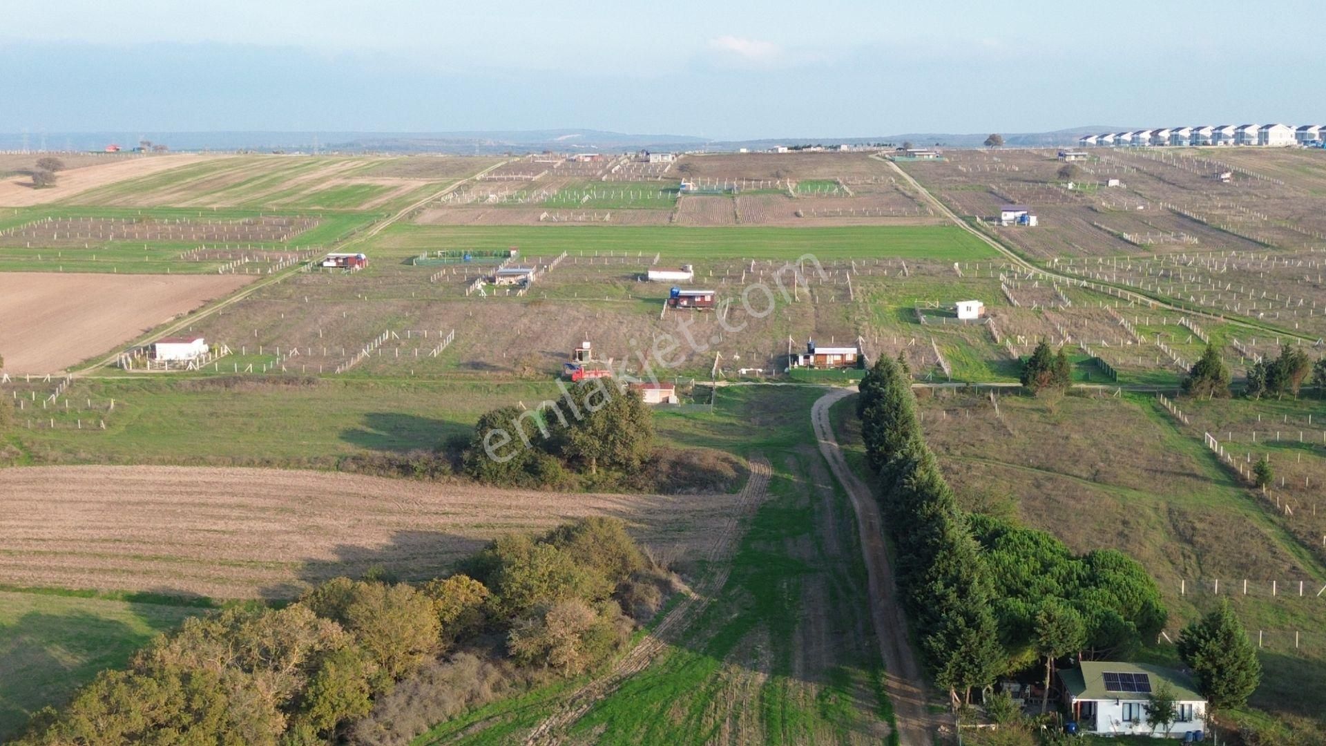 Balanda Villaların Yanı Başında Arsa Vasfında - Görsel 17