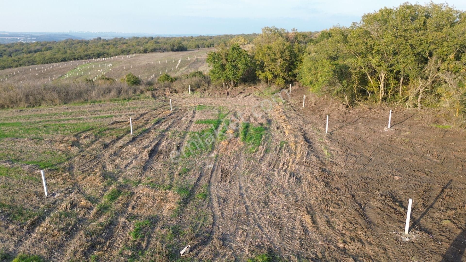 Balanda Villaların Yanı Başında Arsa Vasfında - Görsel 11