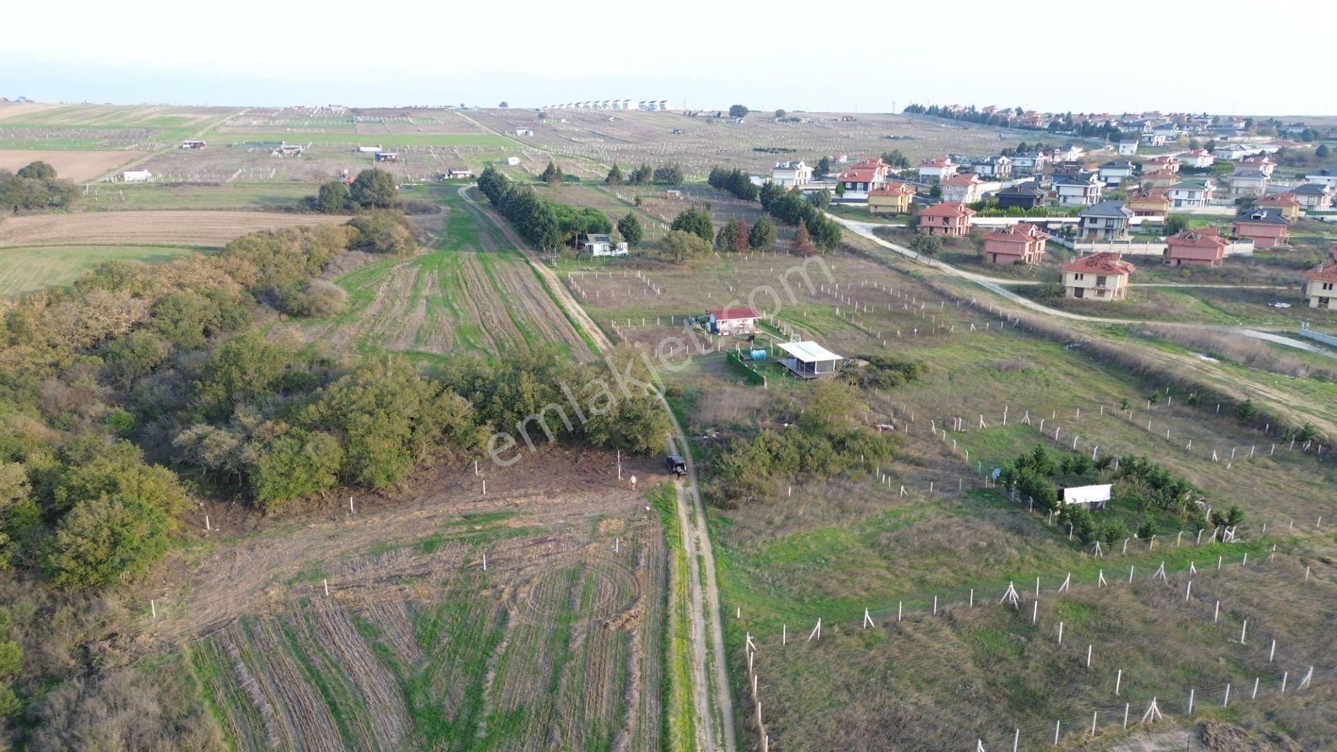 Balanda Villaların Yanı Başında Arsa Vasfında - Görsel 8