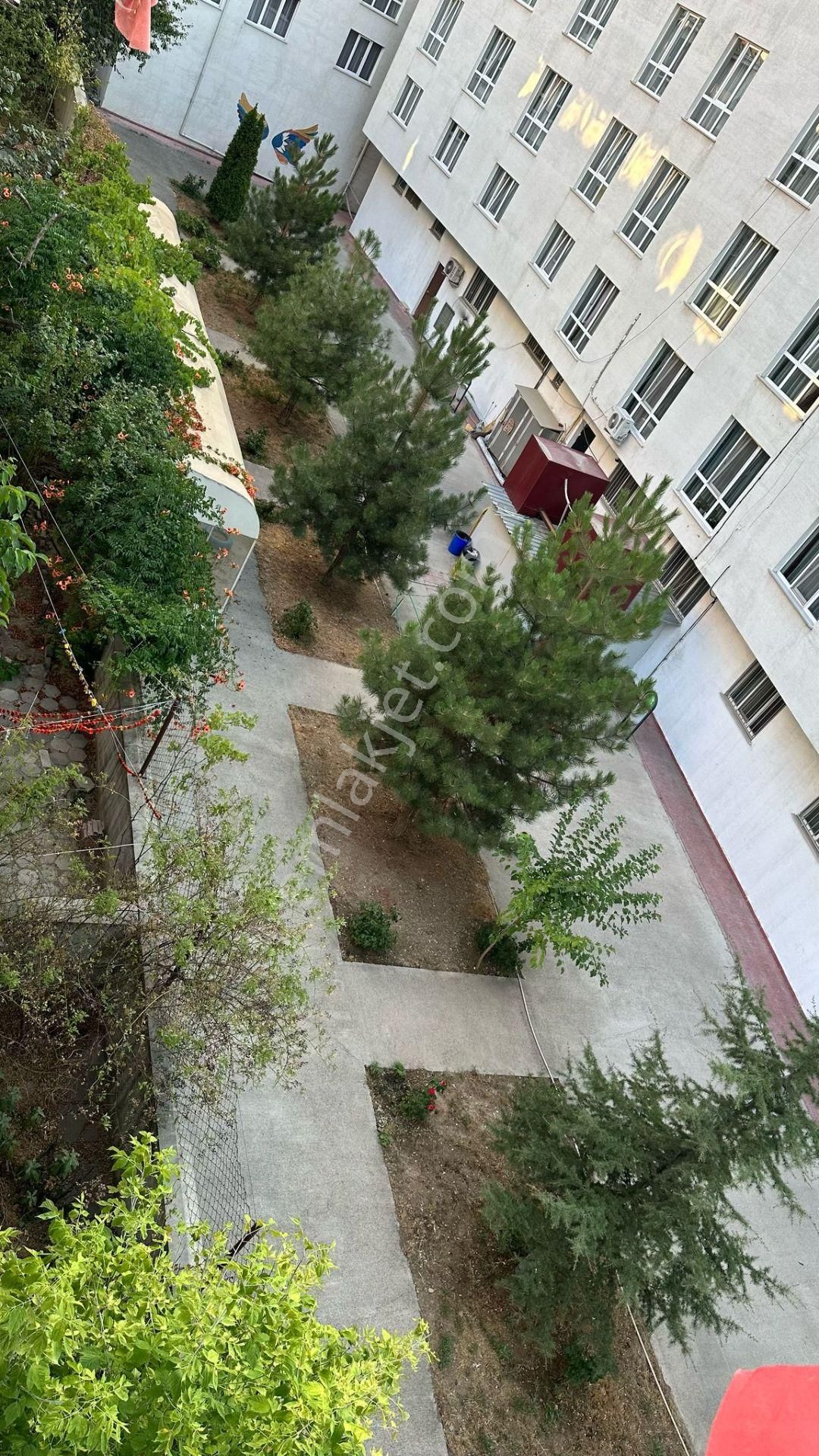İsmet İnönü 2 Caddesi Dibinde 2+1 Kiralık Daire - Görsel 6