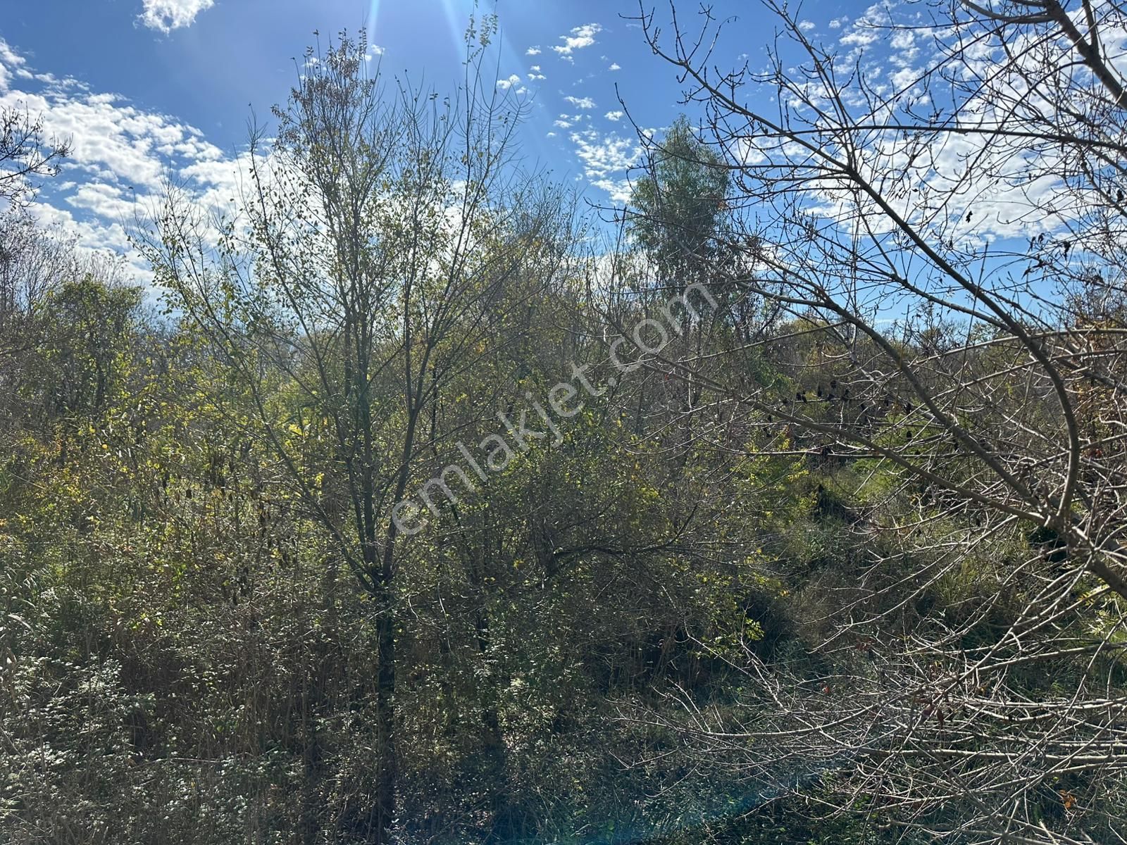 Ortaca Yeşilyurt Da 12 000 M2 Tarla Satılık - Görsel 11