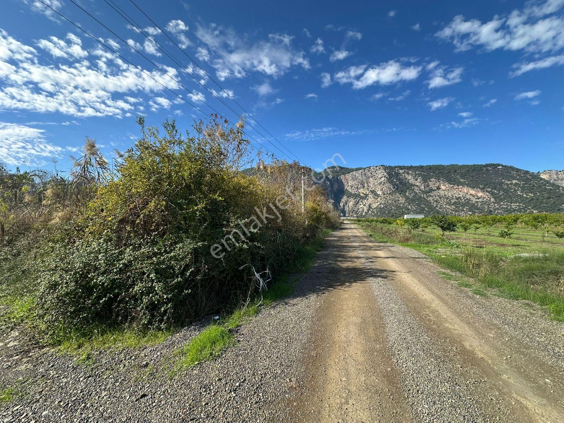 Ortaca Yeşilyurt Da 12 000 M2 Tarla Satılık - Görsel 12
