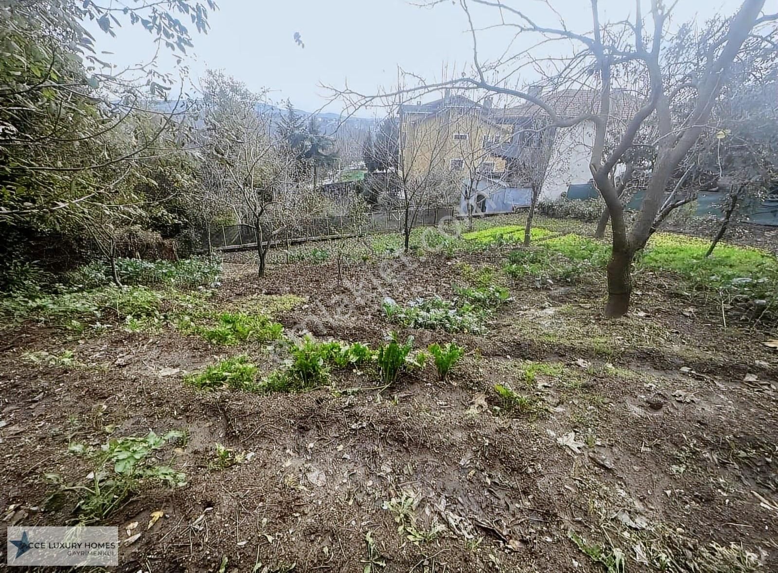 Beykoz Görele Mahallesin'de 1100m2 0/40 İmarlı Satılık Arsa - Görsel 10