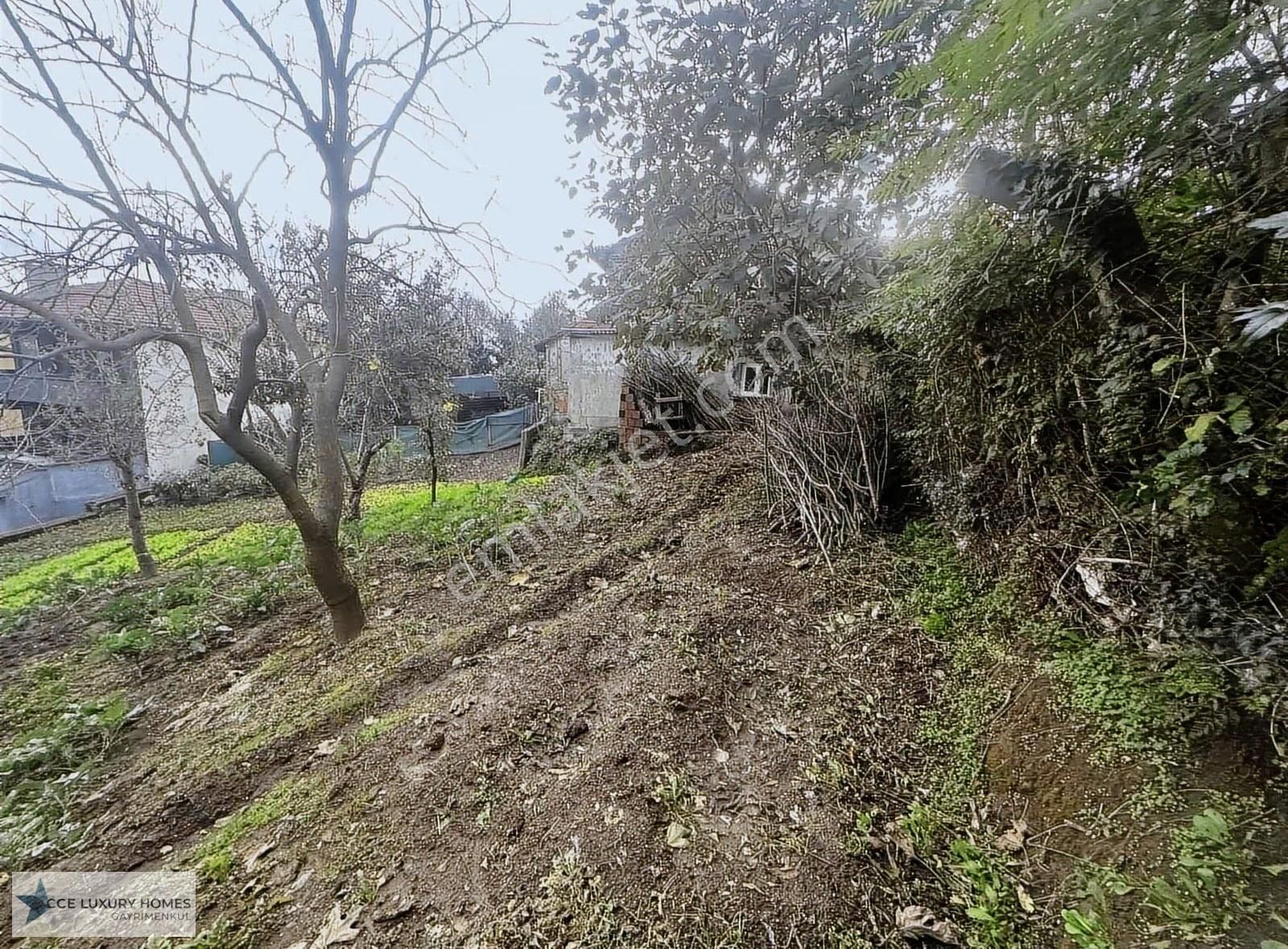 Beykoz Görele Mahallesin'de 1100m2 0/40 İmarlı Satılık Arsa - Görsel 4