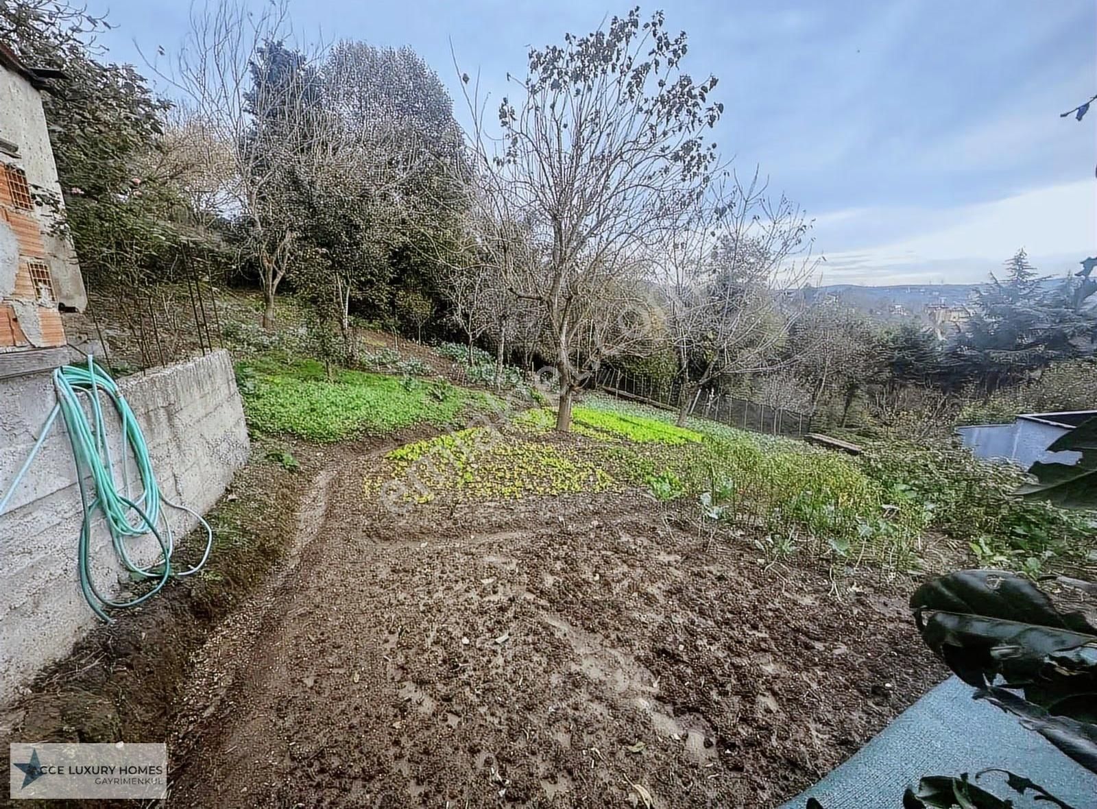 Beykoz Görele Mahallesin'de 1100m2 0/40 İmarlı Satılık Arsa - Görsel 15