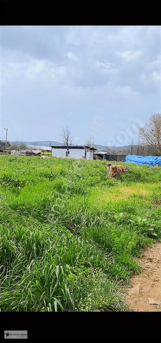 Cumhuriyet Köyün En Değerli Arsası Dereye 0 - Görsel 3