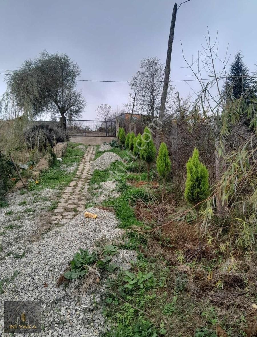 İkiyaka' Dan Ağva'da Fırsatt Kiralık - Görsel 2