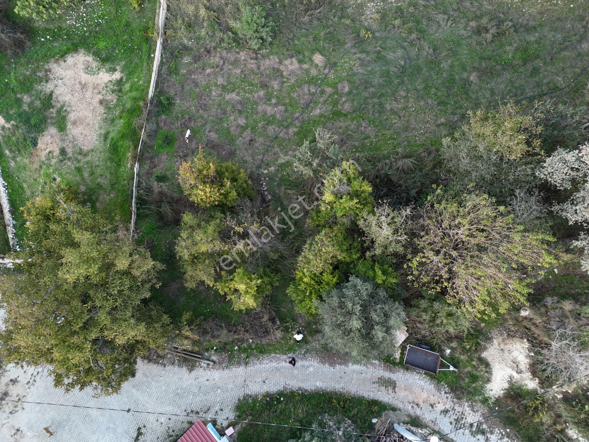 Milas Sek’te 110m² Müstakil Bahçe – Köy İmarında, Düz Alan - Görsel 6