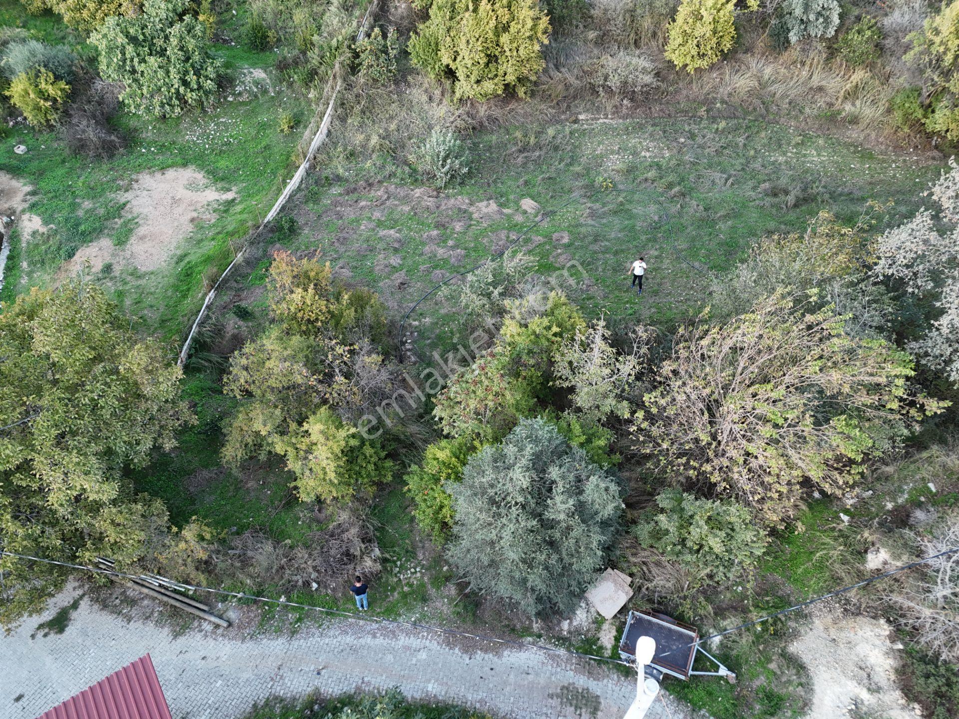 Milas Sek’te 110m² Müstakil Bahçe – Köy İmarında, Düz Alan - Görsel 11