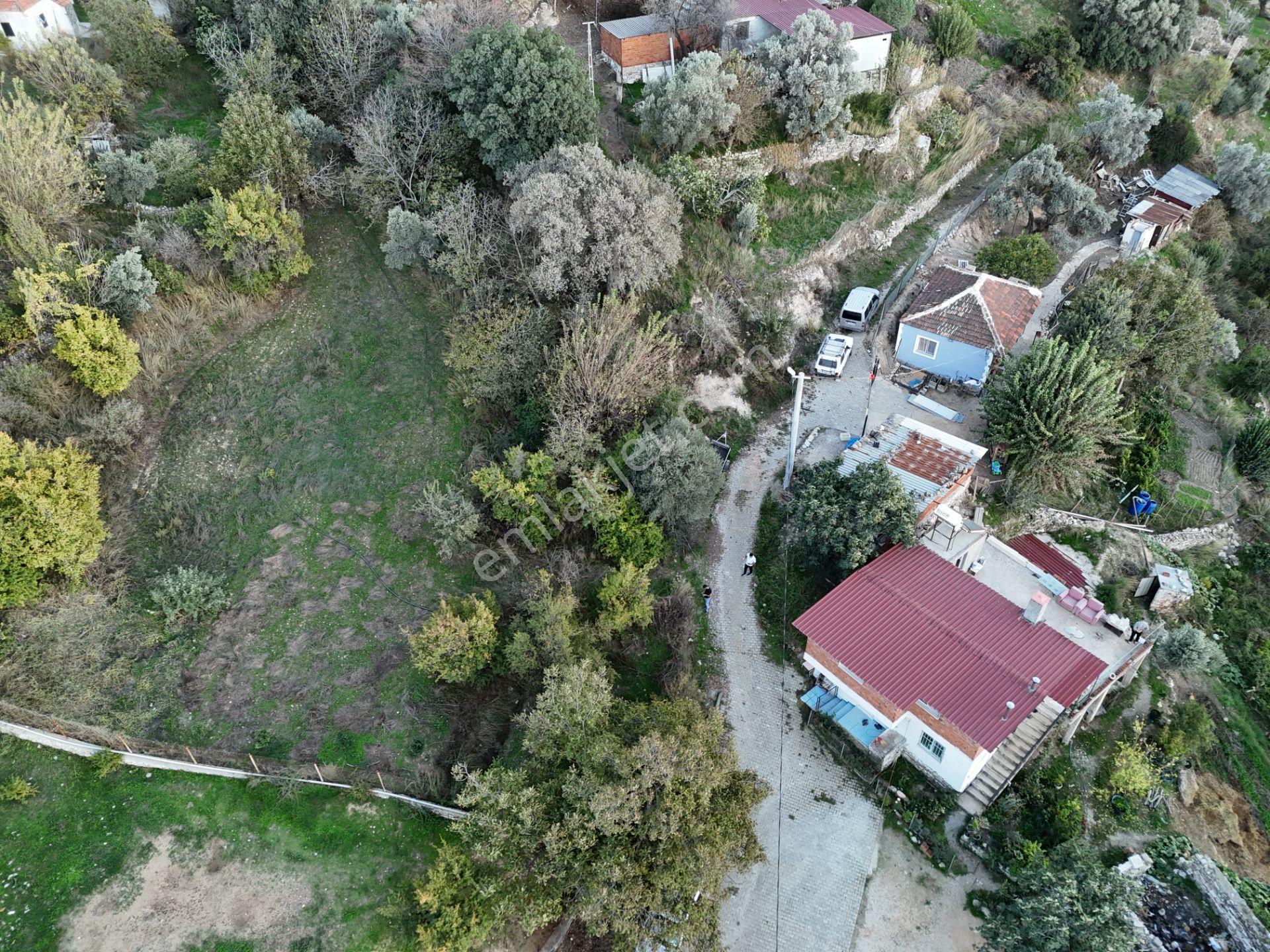 Milas Sek’te 110m² Müstakil Bahçe – Köy İmarında, Düz Alan - Görsel 22
