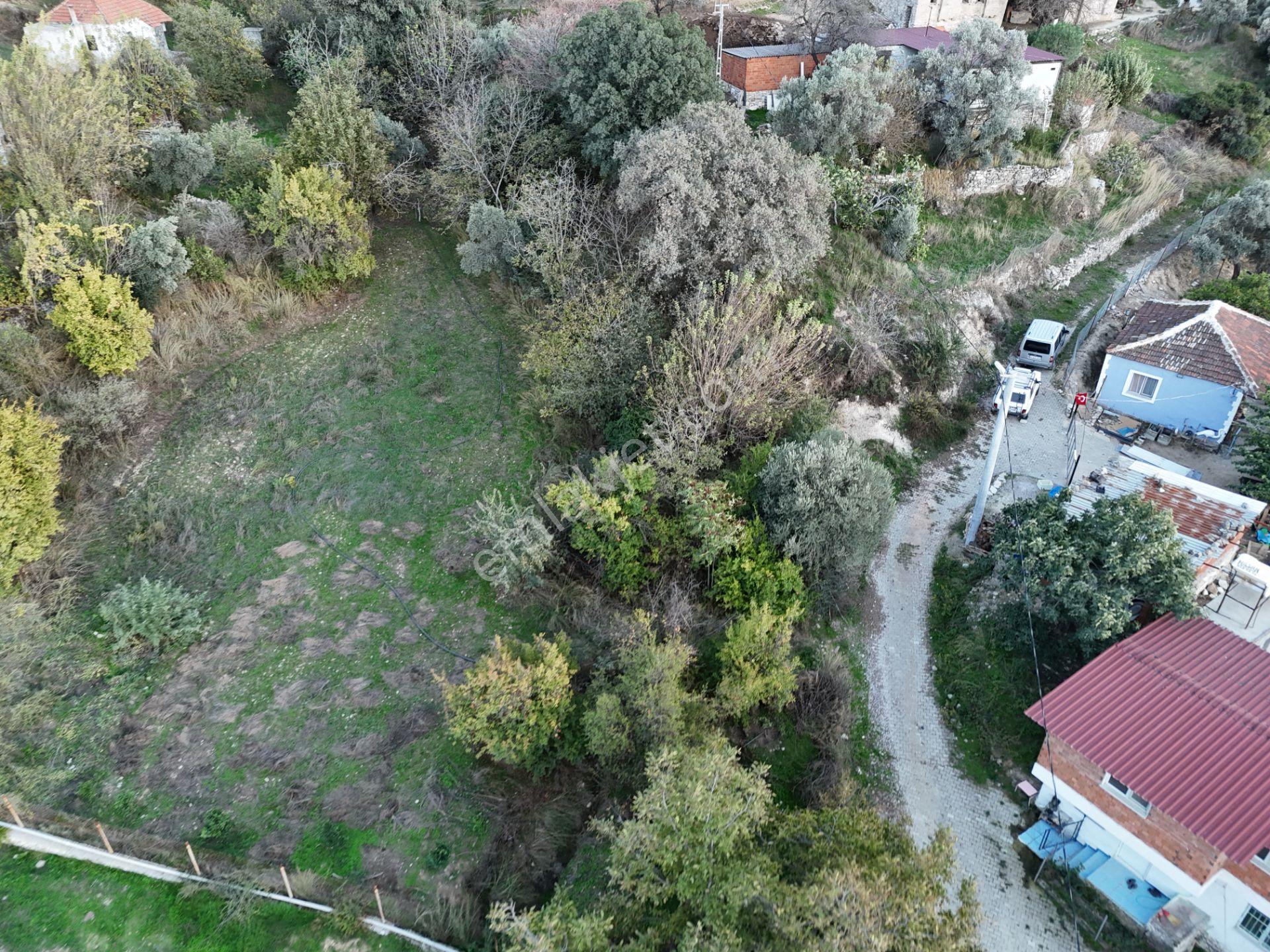 Milas Sek’te 110m² Müstakil Bahçe – Köy İmarında, Düz Alan - Görsel 31