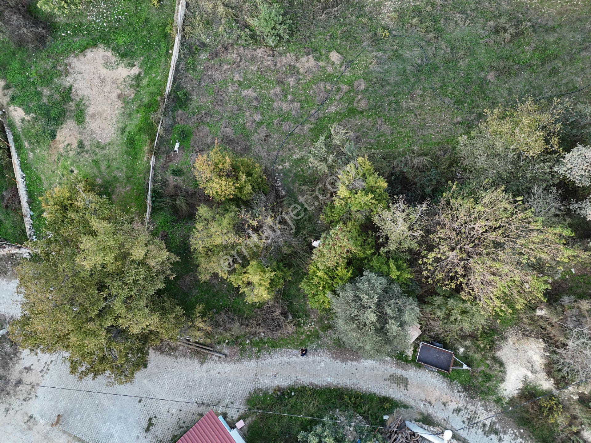 Milas Sek’te 110m² Müstakil Bahçe – Köy İmarında, Düz Alan - Görsel 7