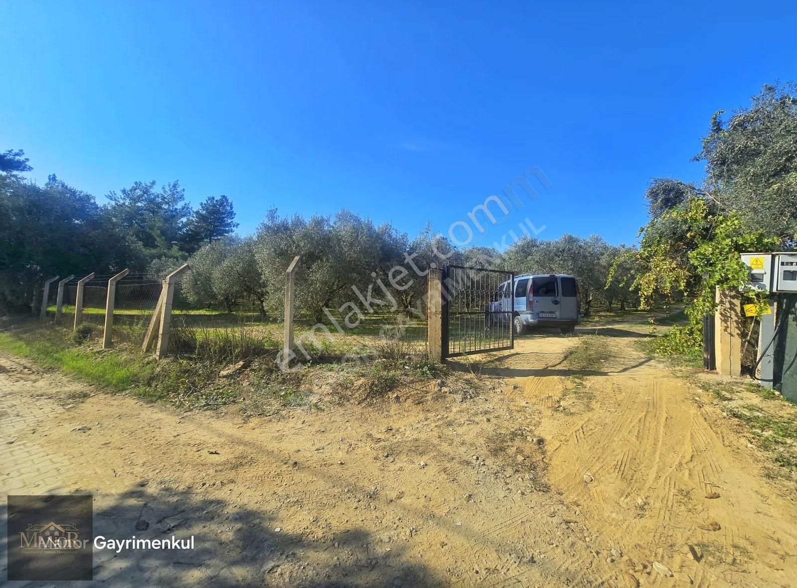 Kuşadası Değirmendere Mah. Dğerinin Altında Zeytinlik - Görsel 5