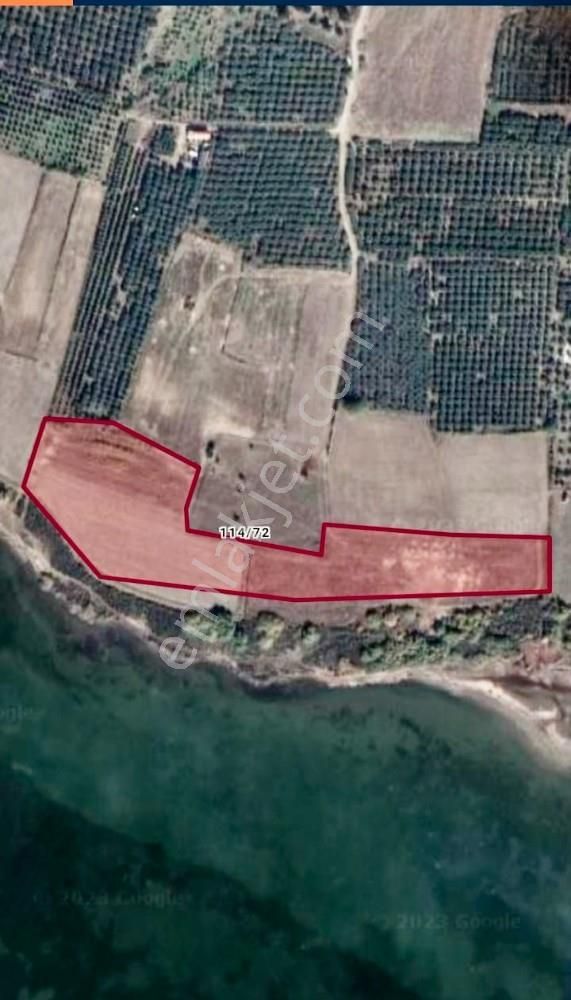 Aydın, Söke, Doğanbeyde Satılık Denize Sıfır 17.500 M2 Tarla