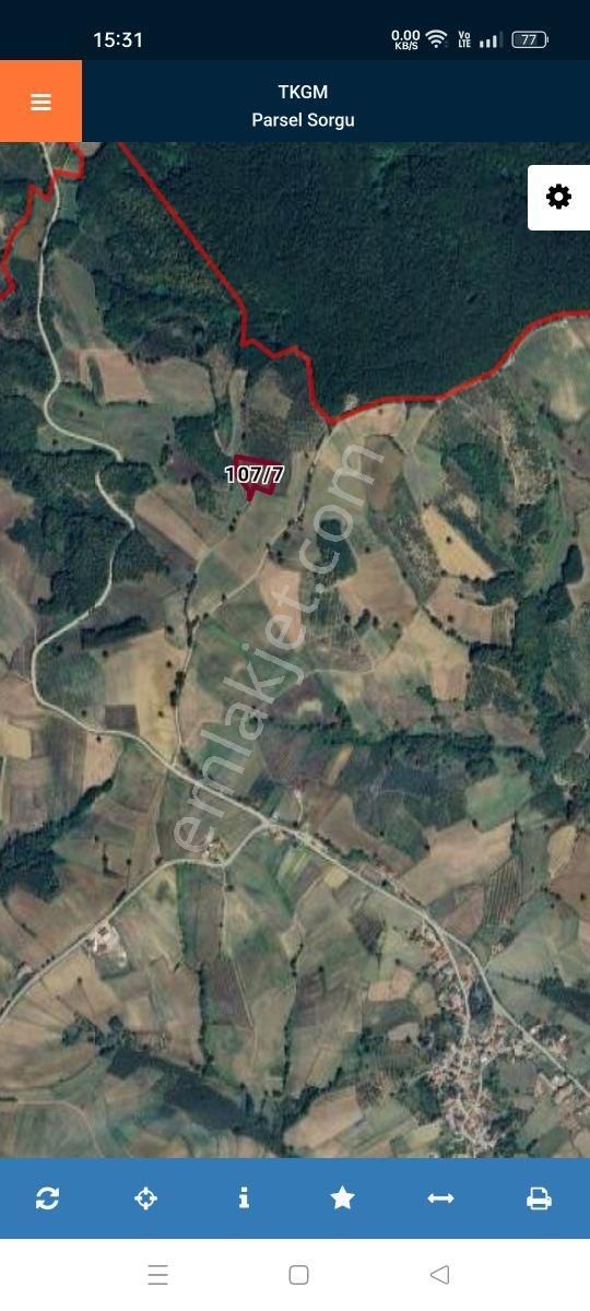 Tarcanlardan İzmitte Satılık Verımlı Fındıklık - Görsel 2
