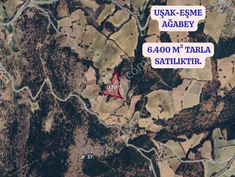 Kd 85.uşak Eşme Ağabey Köyünde 6.400 M² Tarla Satılıktır