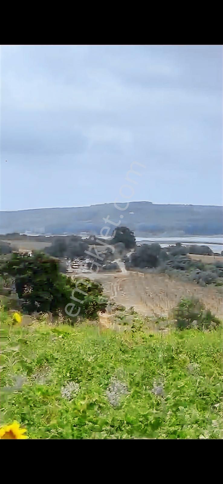 Çatalca Celepköy De 1875 M2 Satılık Tarla - Görsel 3