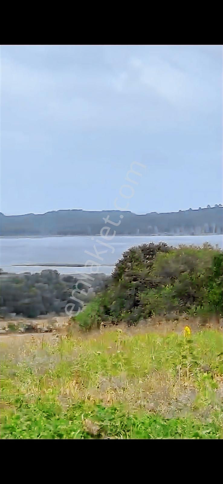 Çatalca Celepköy De 1875 M2 Satılık Tarla - Görsel 4