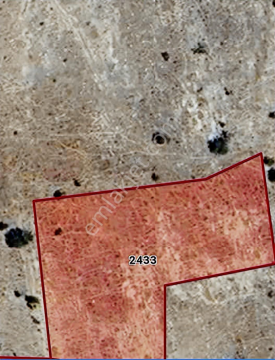 Denizli Acıpayam Dereköy Yeşildere 14.430 M² Satılık Tarla - Görsel 2