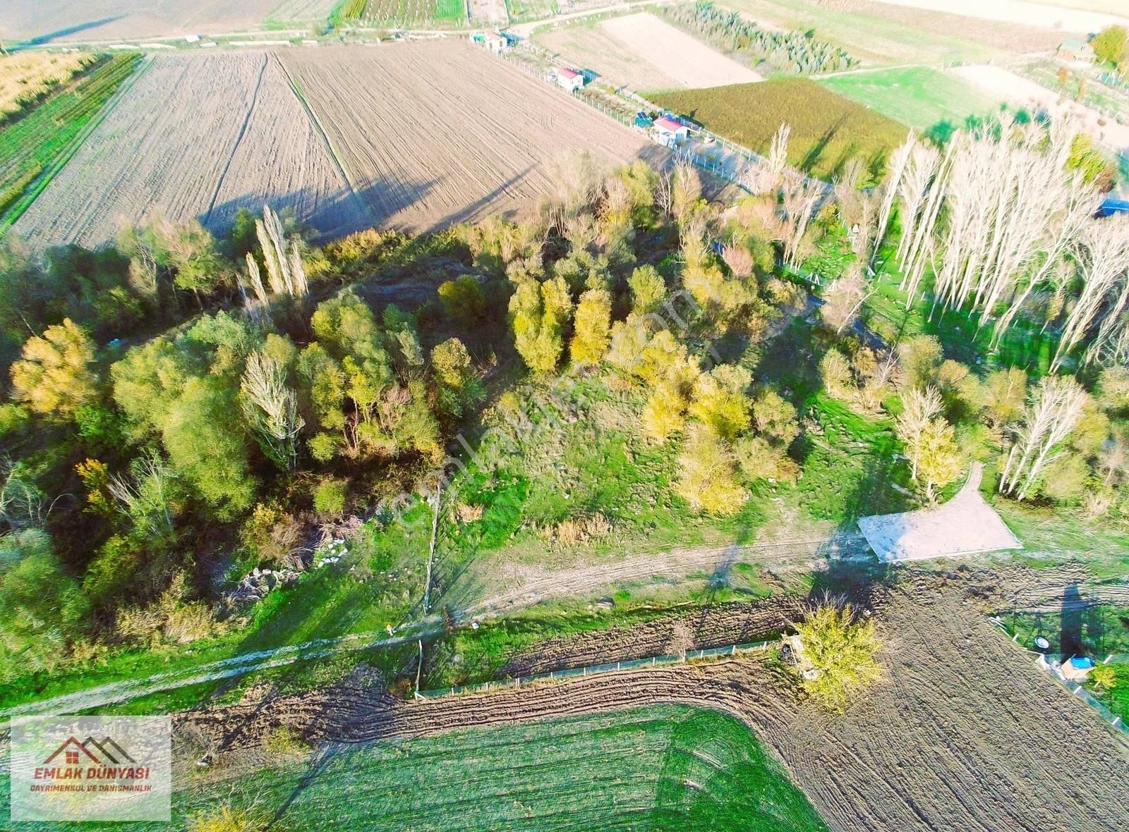 Güdül Güneycede Çay Kenarı 1.929 M2 Arsa - Görsel 5