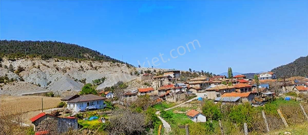Geyve Taşolukta Yatırımlık Satılık Bağ Arazisi - Görsel 9
