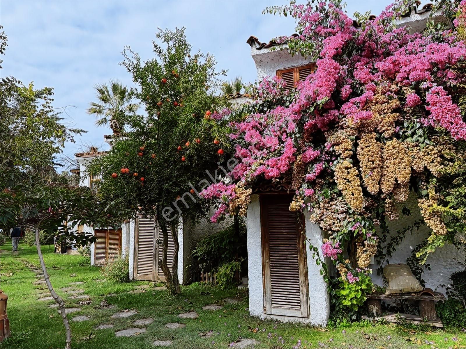 İznik Darka Tatil Köyü'nde Doğayla İç İçe Eşsiz Villa! - Görsel 29