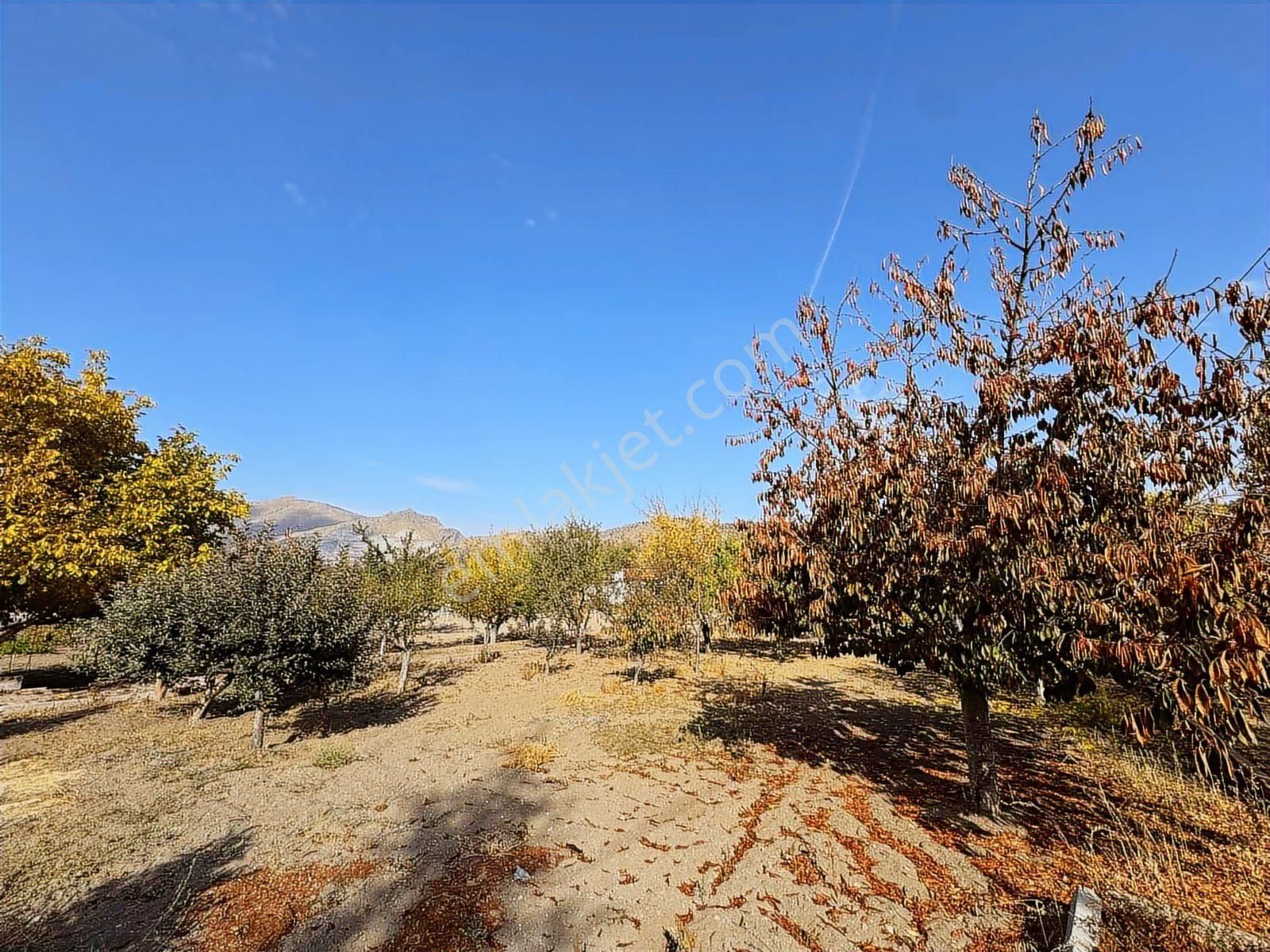 Sözmax Söz Den İnecik'te Satılık Bağ Evi - Görsel 23