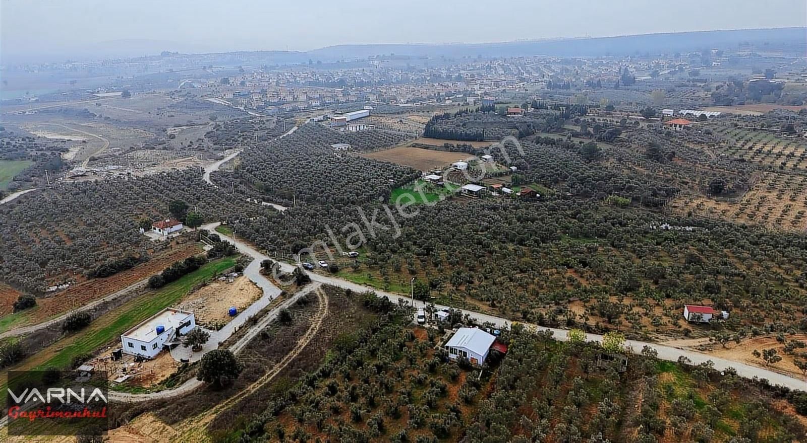 Menderes Bulgurca Satılık 7362 M2 Tek Müstakil Tapu Zeytinlik - Görsel 9