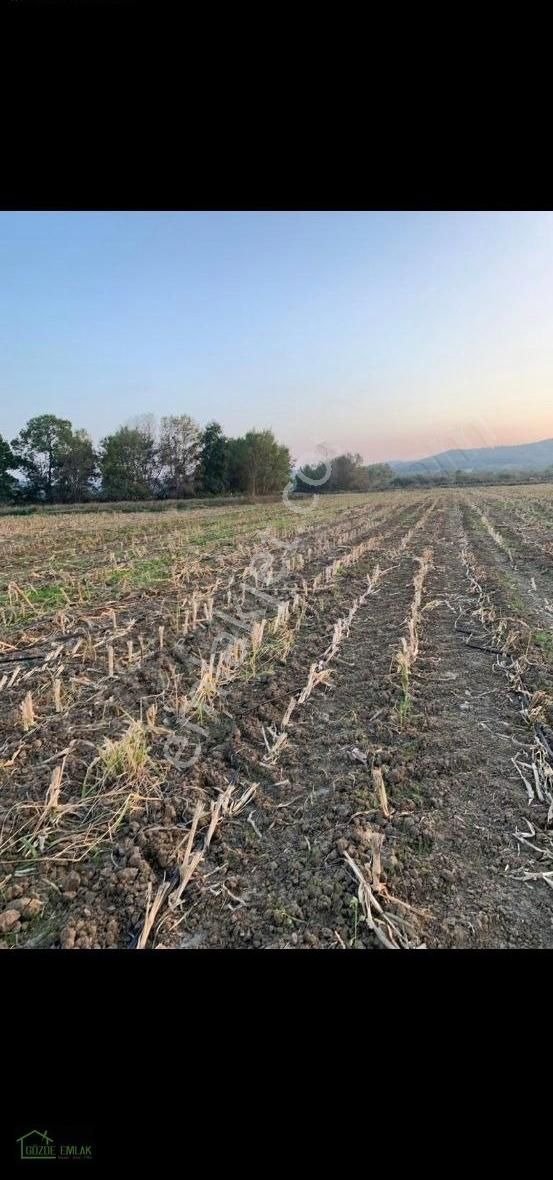 Çiftlikköy De 222 Metre Çaplı Muvafakatnameli Tarla - Görsel 5