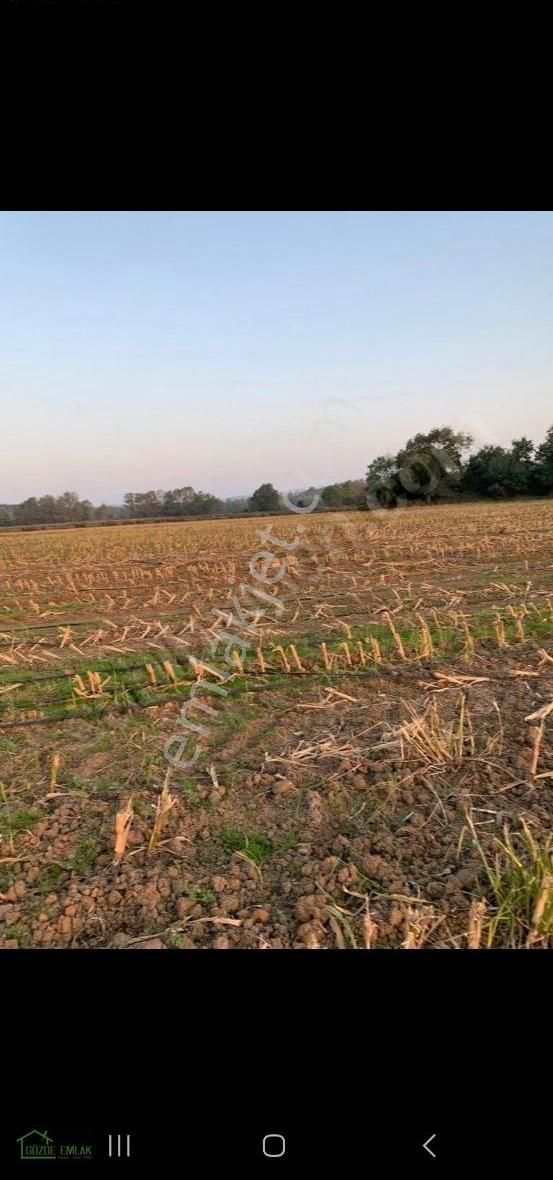 Çiftlikköy De 222 Metre Çaplı Muvafakatnameli Tarla - Görsel 2
