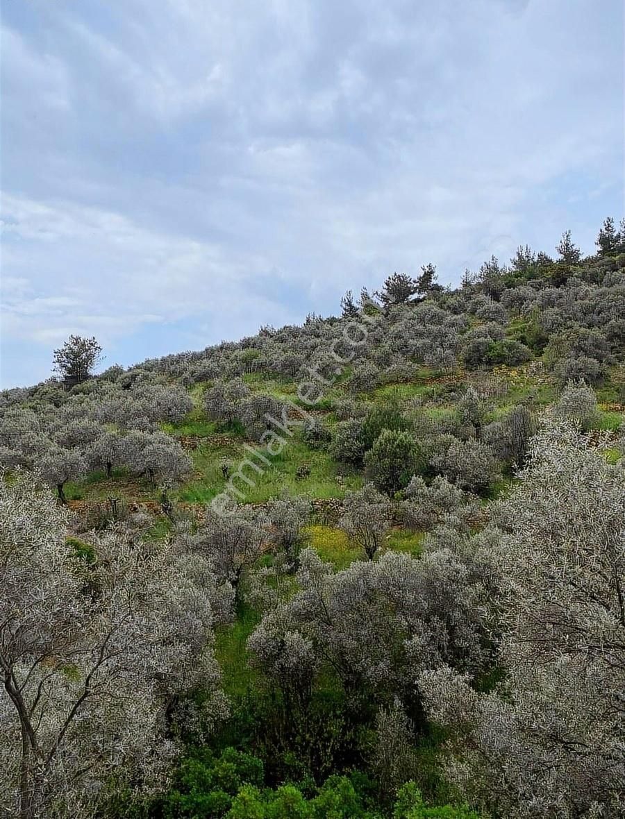 Tek Tapu Yatırıma Uygun - Görsel 5