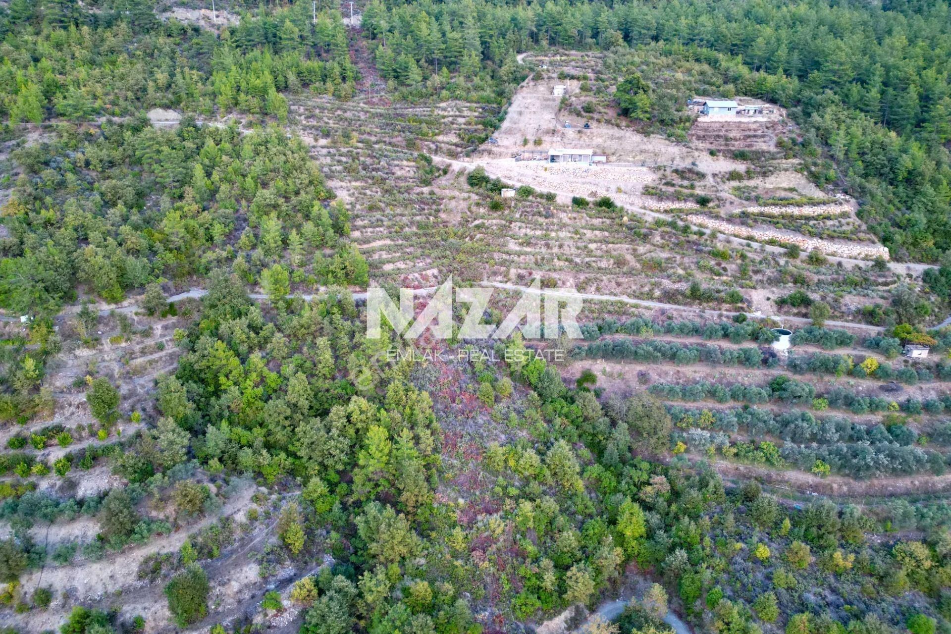 Alanya Akçatı’da 9.420 M² Satılık Baraj Manzaralı Tarla - Görsel 10