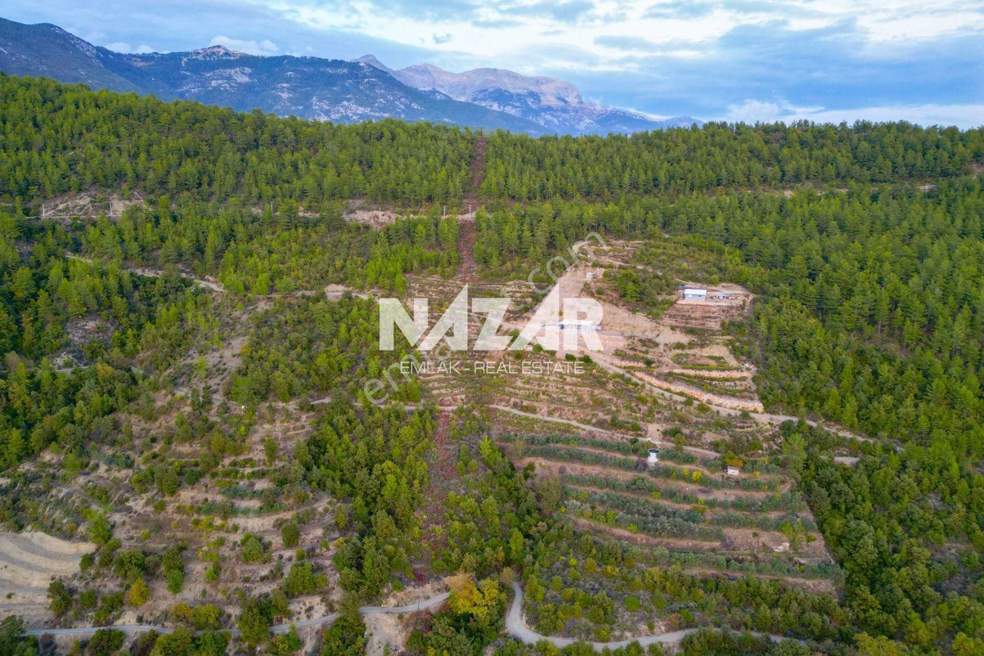 Alanya Akçatı’da 9.420 M² Satılık Baraj Manzaralı Tarla - Görsel 4