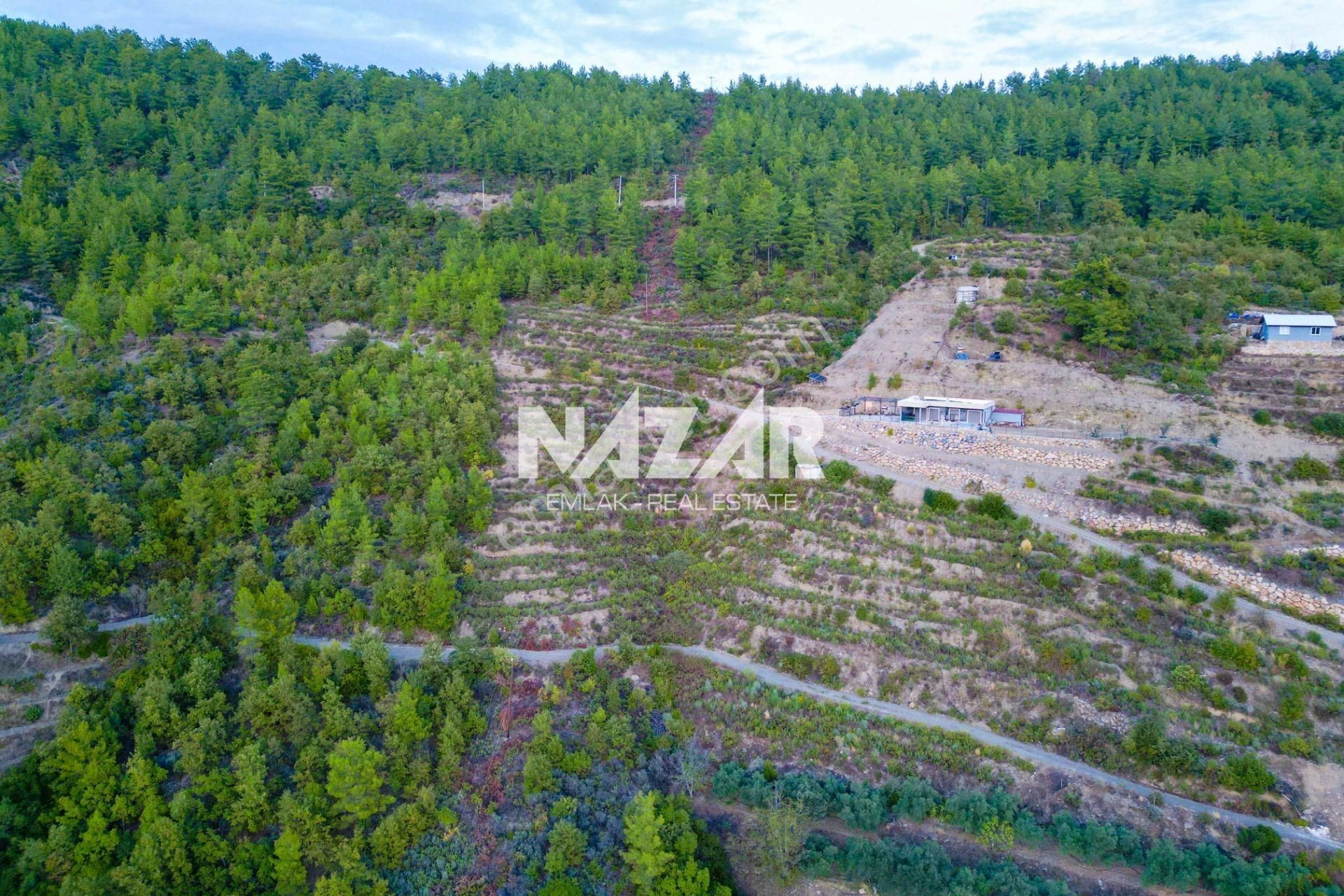 Alanya Akçatı’da 9.420 M² Satılık Baraj Manzaralı Tarla - Görsel 6