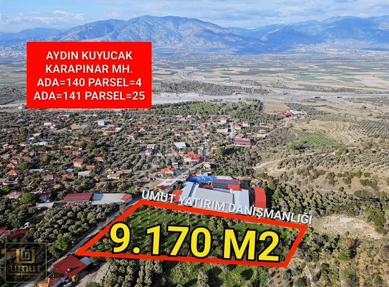 Aydın Karapınar 9.170 M2 Köy İçi Acil Satılık Zeytinlik